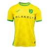 Virallinen Fanipaita Norwich City Kotipelipaita 2024-25 - Miesten